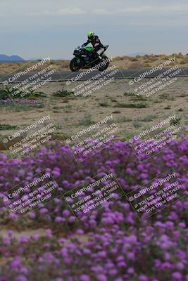 media/Jan-14-2023-SoCal Trackdays (Sat) [[497694156f]]/Turn 14 Exit Bloomig (145pm)/